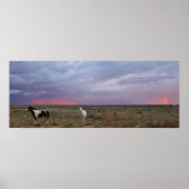 嵐の後の馬 ポスター (正面)