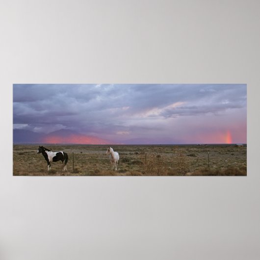 嵐の後の馬 ポスター (正面)