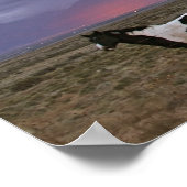 嵐の後の馬 ポスター (角)