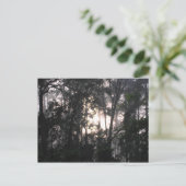 『嵐の後 – はがき#2』 ポストカード (スタンド正面)