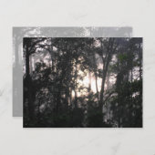 『嵐の後 – はがき#2』 ポストカード (正面/裏面)