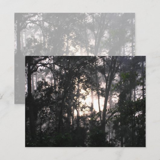 『嵐の後 – はがき#2』 ポストカード (正面/裏面)