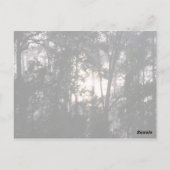 『嵐の後 – はがき#2』 ポストカード (裏面)