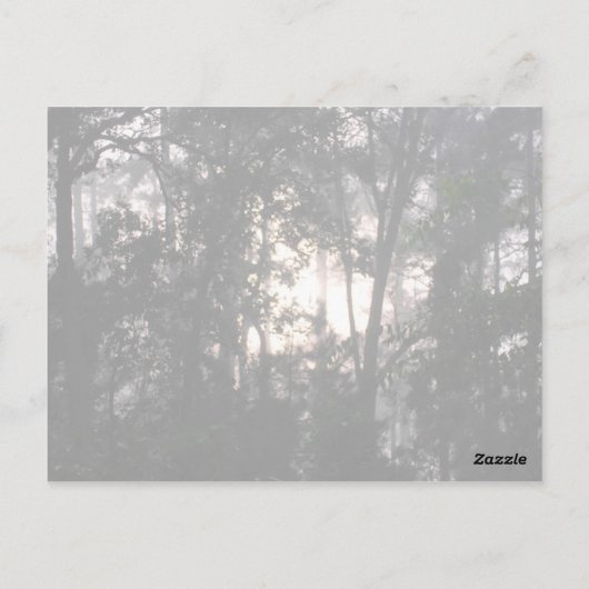 『嵐の後 – はがき#2』 ポストカード (裏面)