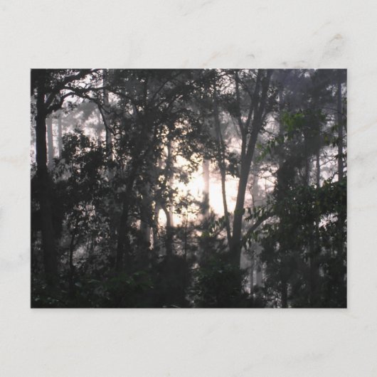 『嵐の後 – はがき#2』 ポストカード (正面)