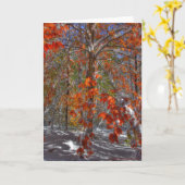 嵐の後 カード (黄色い花)