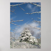 嵐の後 ポスター (正面)