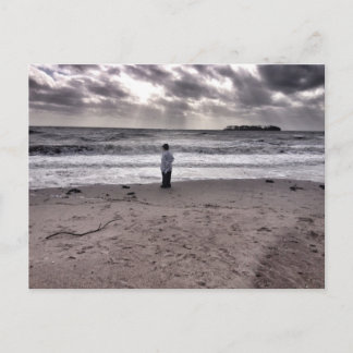 嵐の後 ポストカード