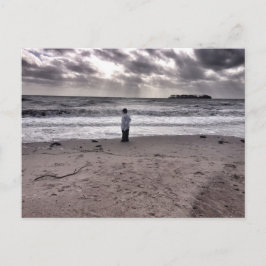 嵐の後 ポストカード