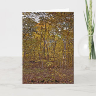 嵐の悔やみや弔慰カードの後の静寂 カード
