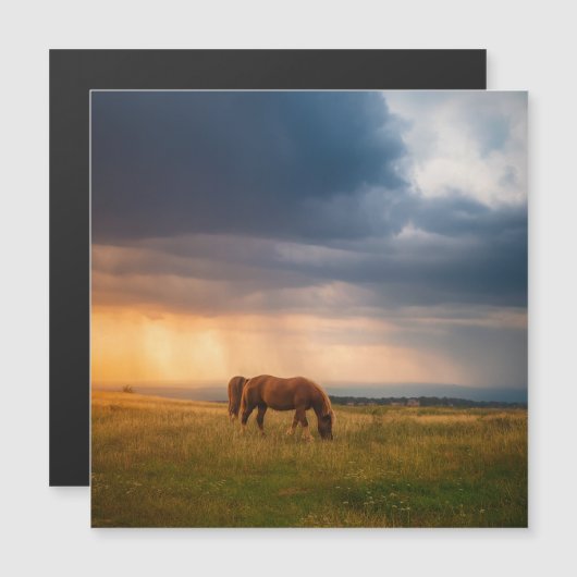 嵐の日に馬が放牧 (正面/裏面)