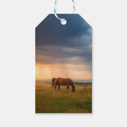 嵐の日に馬が放牧 ギフトタグ (正面)