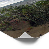 嵐の日ポスター ポスター (角)