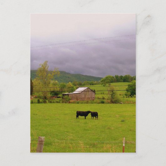 嵐の日 ポストカード (正面)