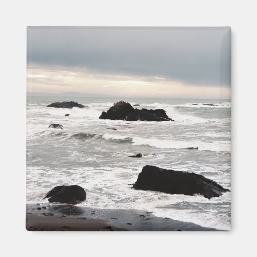 嵐の日….. マグネット (正面)