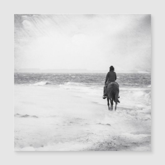 嵐の時代 –  (正面)