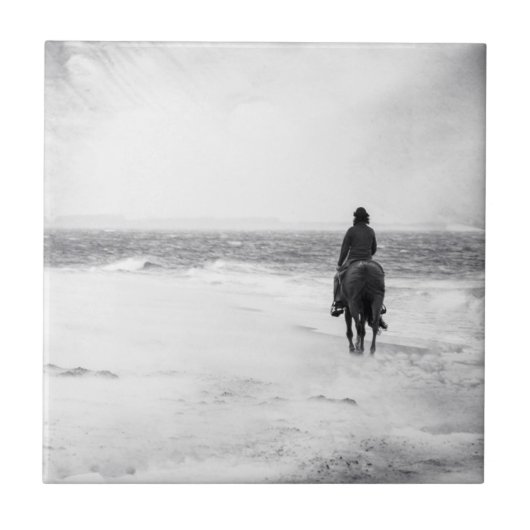 嵐の時- タイル (正面)