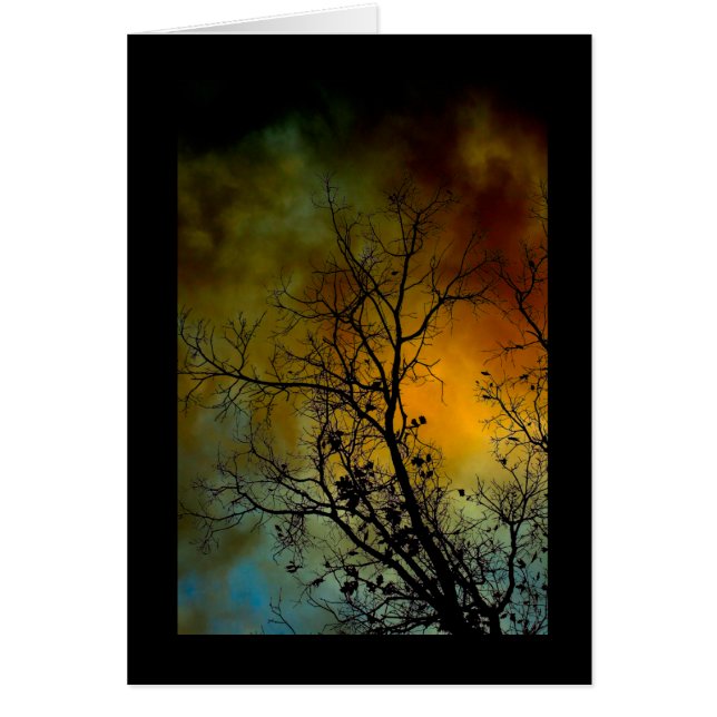 嵐の朝の木 (正面)