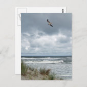 嵐の海 ポストカード (正面/裏面)