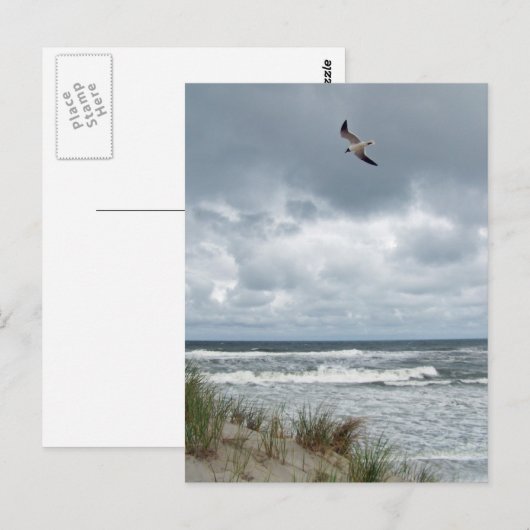 嵐の海 ポストカード (正面/裏面)