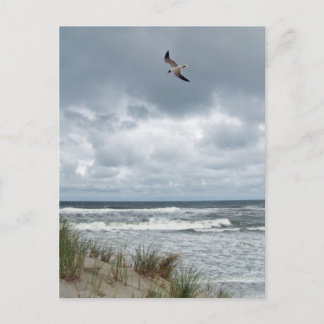 嵐の海 ポストカード