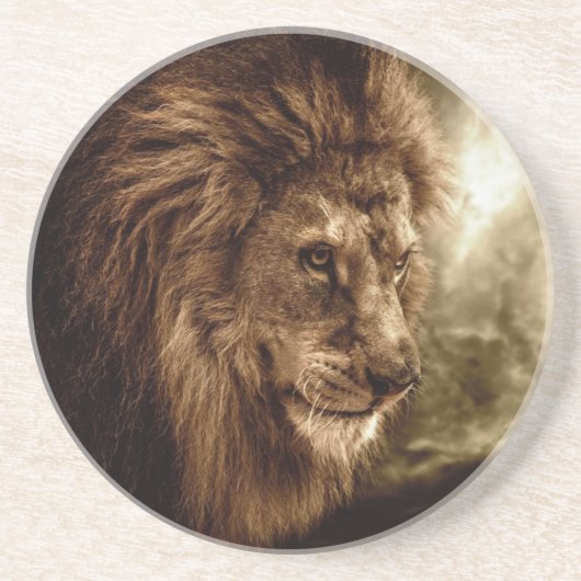 嵐の空に対するライオン コースター (正面)