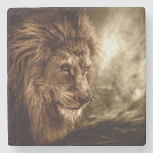 嵐の空に対するライオン ストーンコースター (正面)