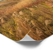 嵐の空の下の金色の葦 ポスター (角)