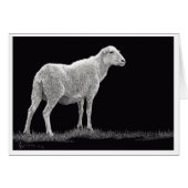 嵐の羊 (正面横)