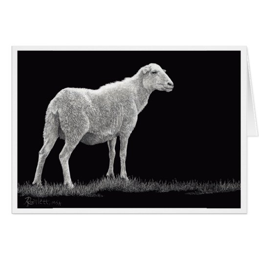 嵐の羊 (正面横)