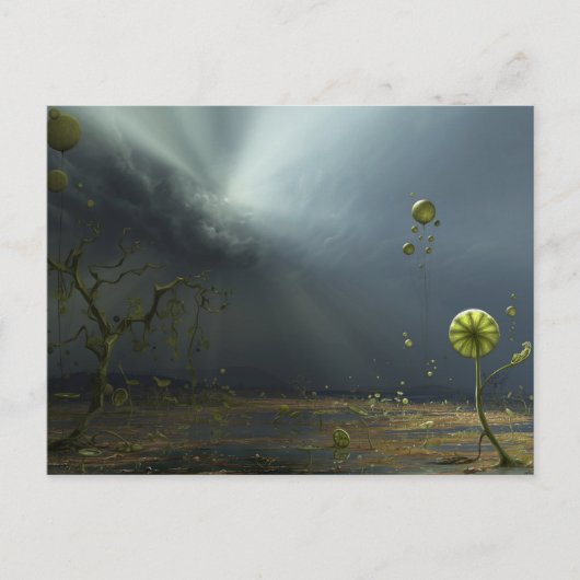 嵐の色彩 ポストカード (正面)