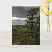 嵐の荒地及び杜松の木のメッセージカード カード (黄色い花)