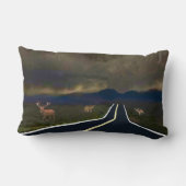 嵐の醸造 ランバークッション (裏面)