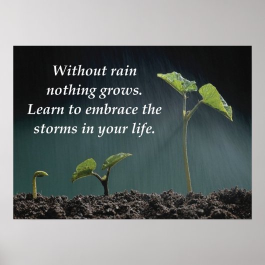 嵐を受け入れる – ポスやる気を起こさせるター ポスター (正面)