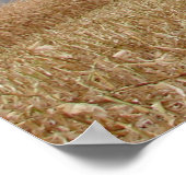 嵐を吹き飛ばす ポスター (角)