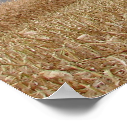 嵐を吹き飛ばす ポスター (角)