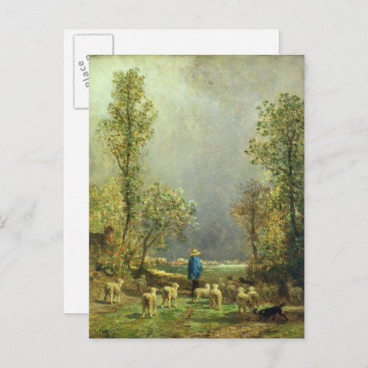 嵐を見ている羊 ポストカード (正面/裏面)