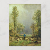 嵐を見ている羊 ポストカード (正面)