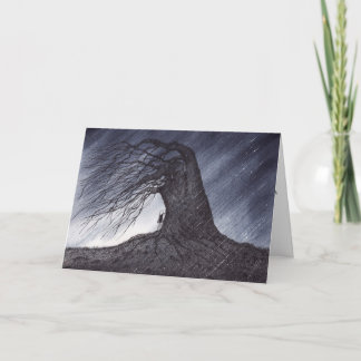 嵐カードの避難所 カード