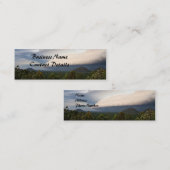 嵐前線 スキニー名刺 (正面/裏面)