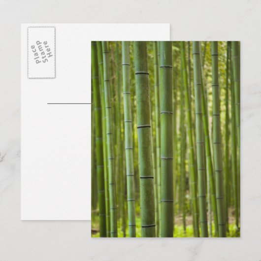 嵐山森林竹林 ポストカード (正面/裏面)