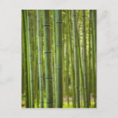 嵐山森林竹林 ポストカード (正面)
