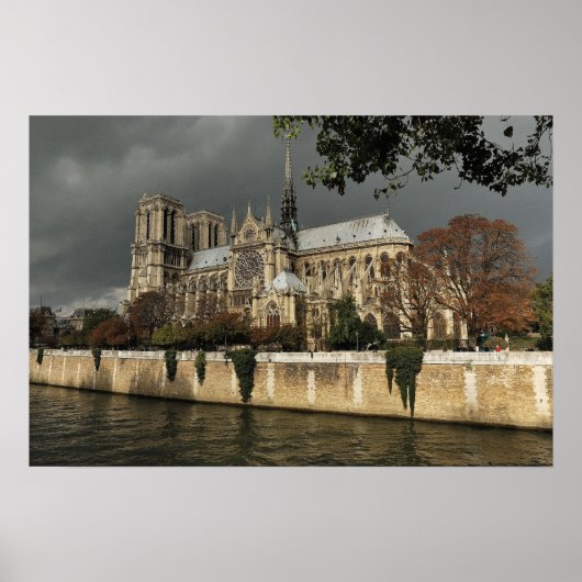 嵐来は ポスター (正面)