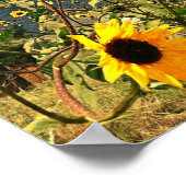 嵐素朴の空の写真に向かうヒマワリ ポスター (角)