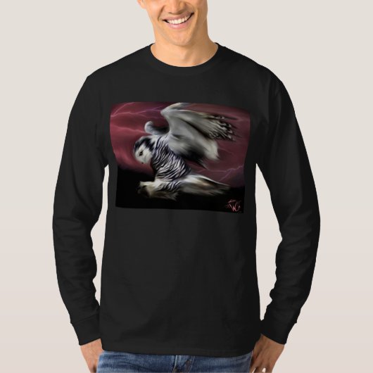 嵐飛行 Tシャツ (正面)