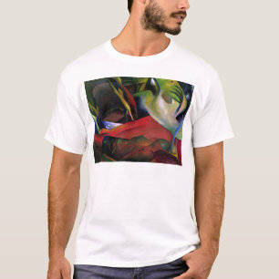 嵐1911年 Tシャツ