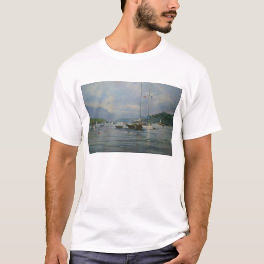嵐2013年の前 Tシャツ (正面)