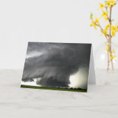 嵐7 カード (黄色い花)