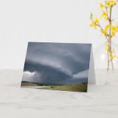 嵐8 カード (黄色い花)