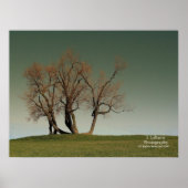 嵐 ポスター (正面)